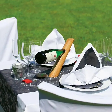 Haus Am Ahorn 3* Schöneck