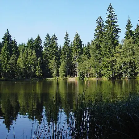 Hotel Haus Am Ahorn 3*